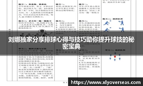 刘娜独家分享排球心得与技巧助你提升球技的秘密宝典